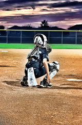Presleybehindtheplate review photo
