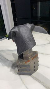 Anonyme review photo