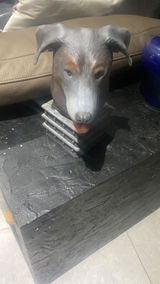 Anonyme review photo