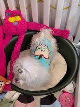 Lola review photo