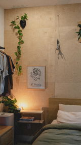 Wall Shelves