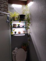 Wall Shelves