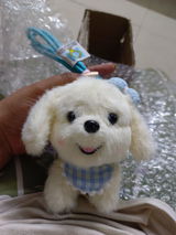 Sneha M. review photo