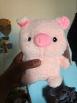 Pig review photo