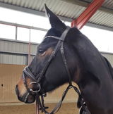 Beate review photo
