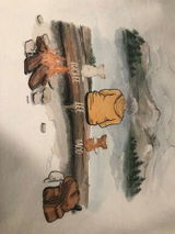 Bradley A. review photo