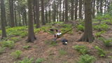 John review photo