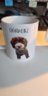 User picture