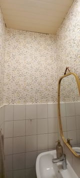 A.B. review photo