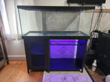 Rebecca Santilli review photo