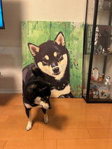 KONDOU RYUJI review photo