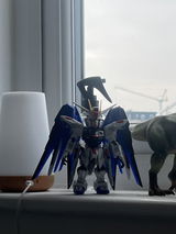Longyu Guan review photo