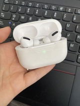 Antonia P. review photo