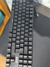 Rafael S. review photo