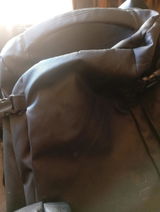 Eduardo D. review photo