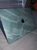 Ava S. review photo