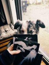 Louve review photo