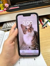 a*****7 review photo