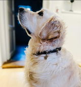 Le review photo