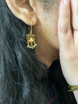 Ani review photo