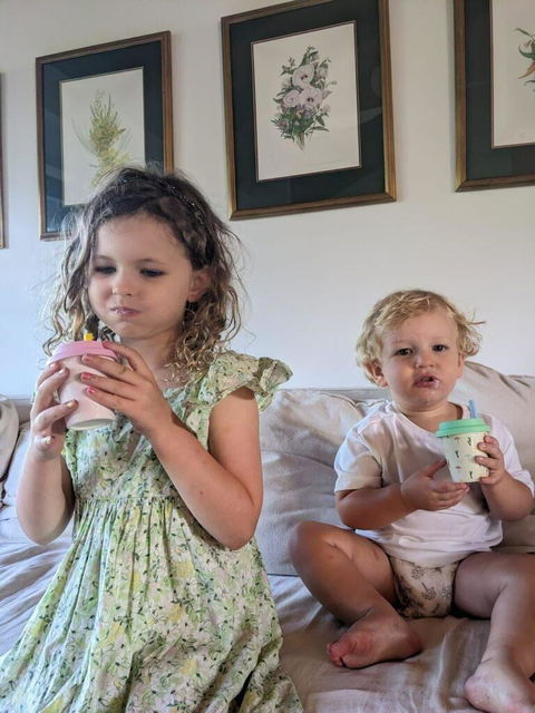 Kids Immune Protein - Strawberry Fort