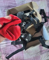 Alisha review photo
