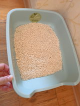 Ingrida Brazauskaite review photo
