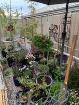 Anita Smith review photo
