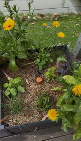 Vivian from Kunah's Garden review photo