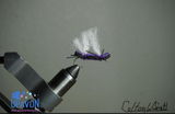 Colton Scott review photo