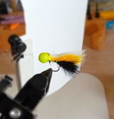 James Wood review photo