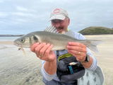 Steve Lawes review photo
