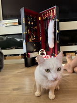 Vikki review photo