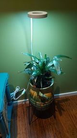 kerryn T. review photo