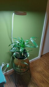 kerryn T. review photo