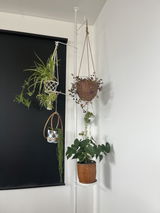 Jashmin S. review photo