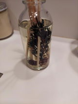 Catherine Stefano review photo