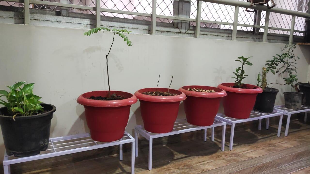 Abha review photo
