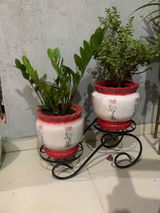 Ankita review photo