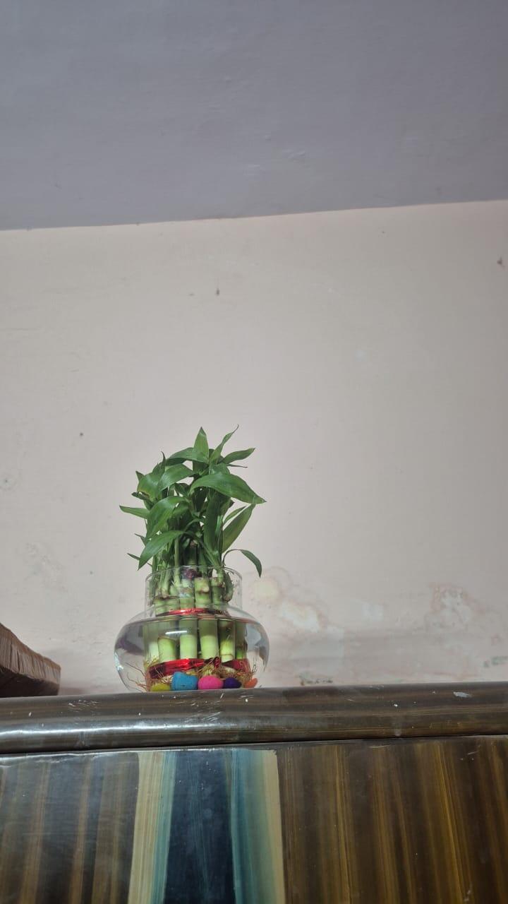 M.Rajeshkannan review photo