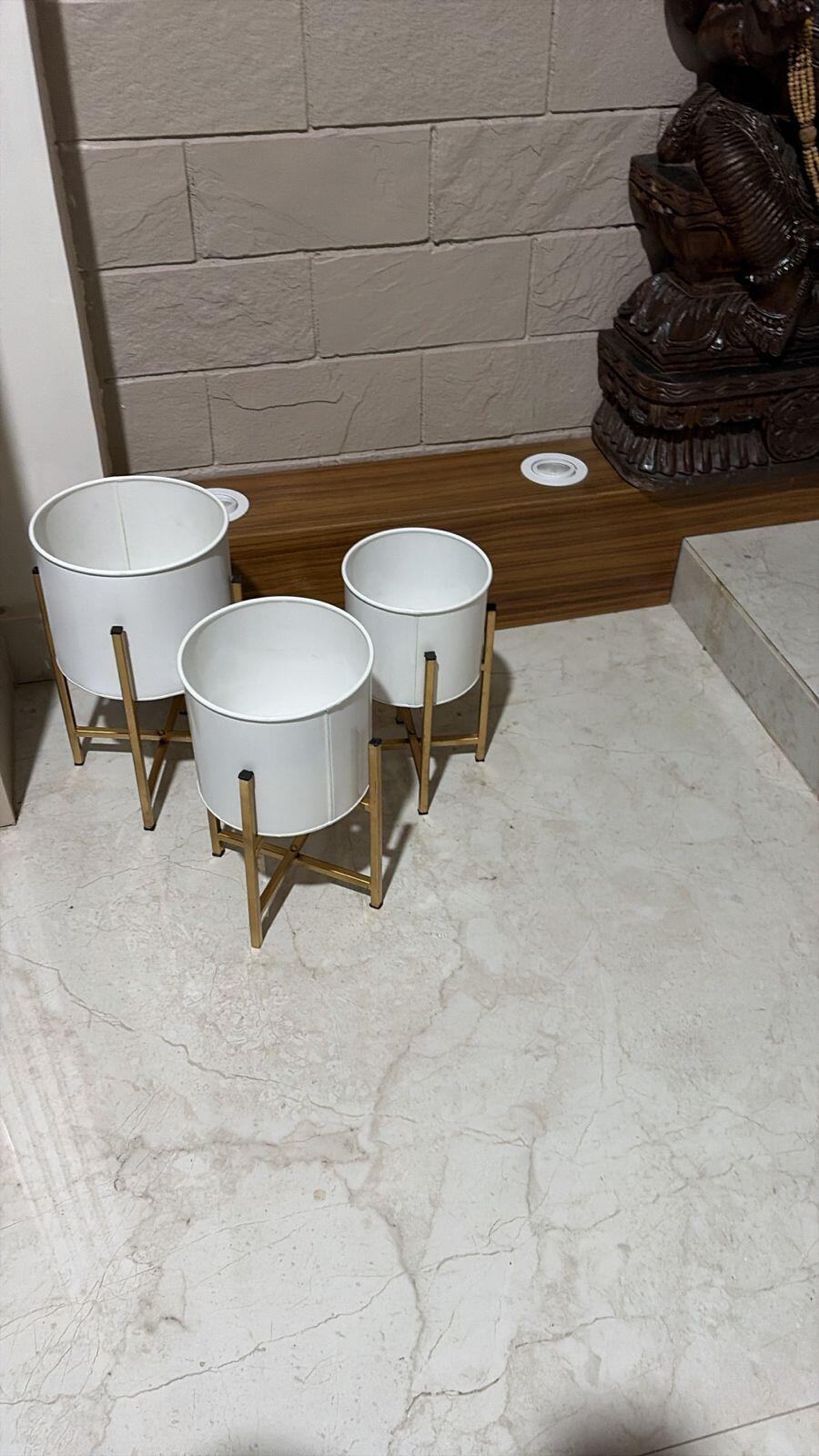 Upasana review photo