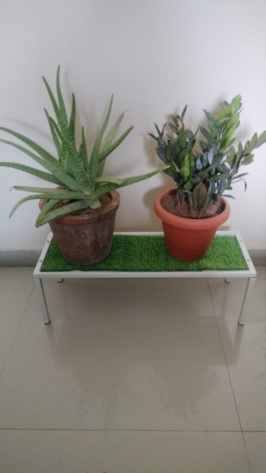 Ratan review photo