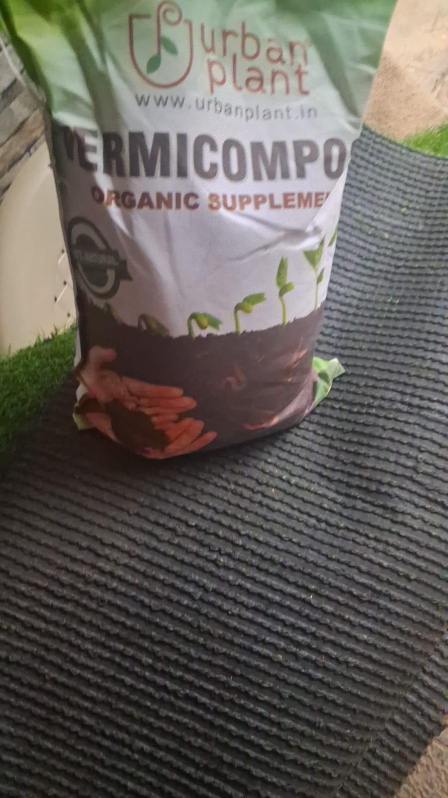 Raghsvulu review photo