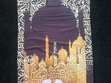 Lubna Ahmed review photo