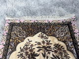 Kamal Raza review photo