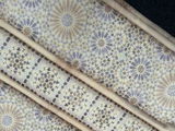 Sahar Mahmood review photo