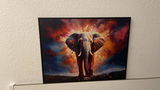Jonas Kremer review photo