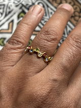 Vasumathi Sridhar review photo