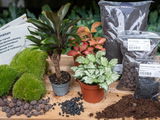 Jacinthe review photo