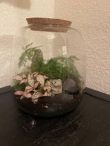 Ulrike review photo